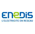 enedis: 1G-Link | Conseil en Transformation Digitale, IA & Solutions Digitales sur Mesure